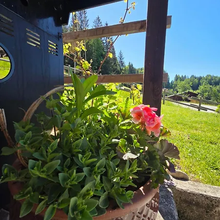Domek alpejski Prama Haeusl